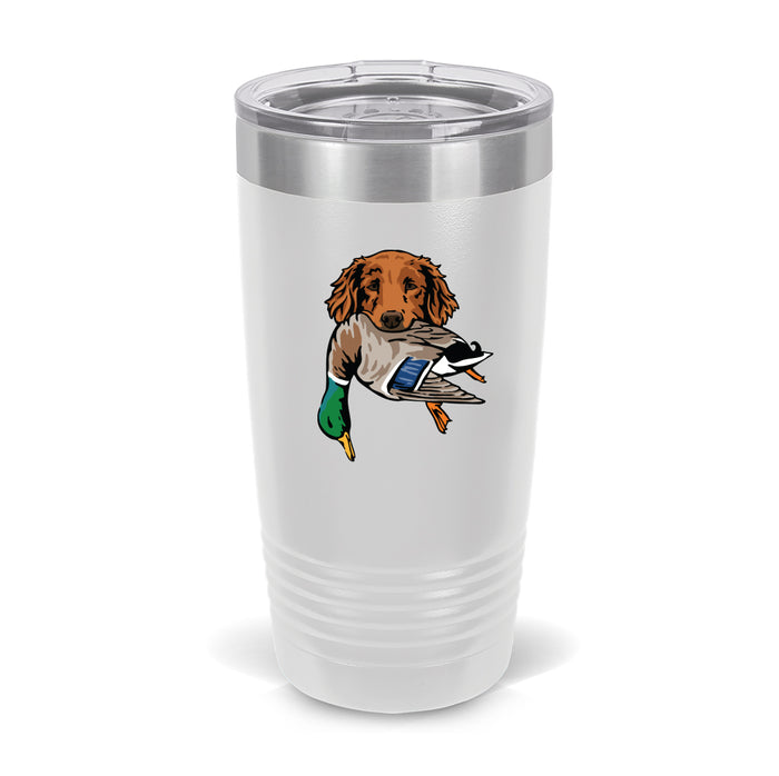 Golden Retriever with a Mallard / White