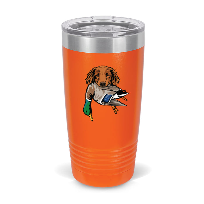 Golden Retriever with a Mallard / Blaze Orange