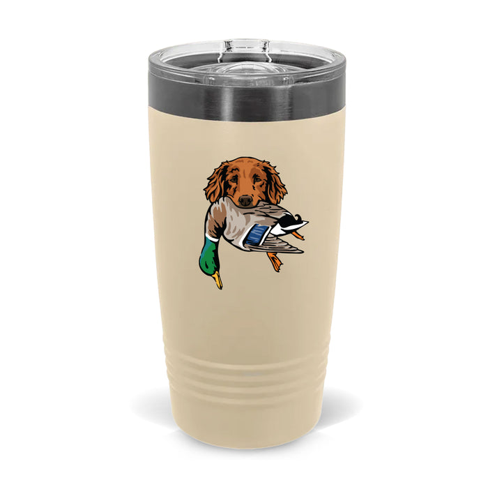 Golden Retriever with a Mallard / Prairie Dust