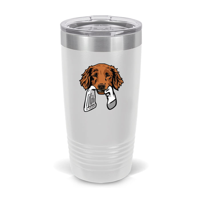 Golden Retriever with a Sock / White