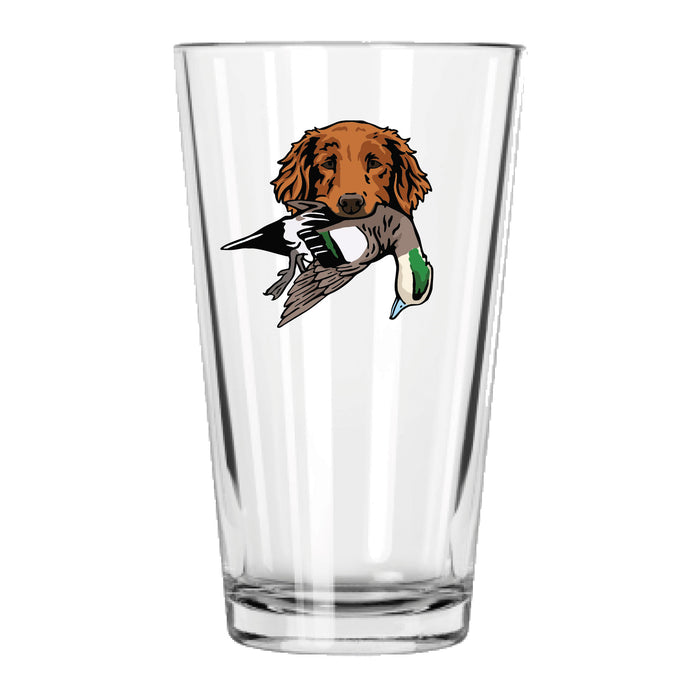 |Golden Retriever with a Wigeon