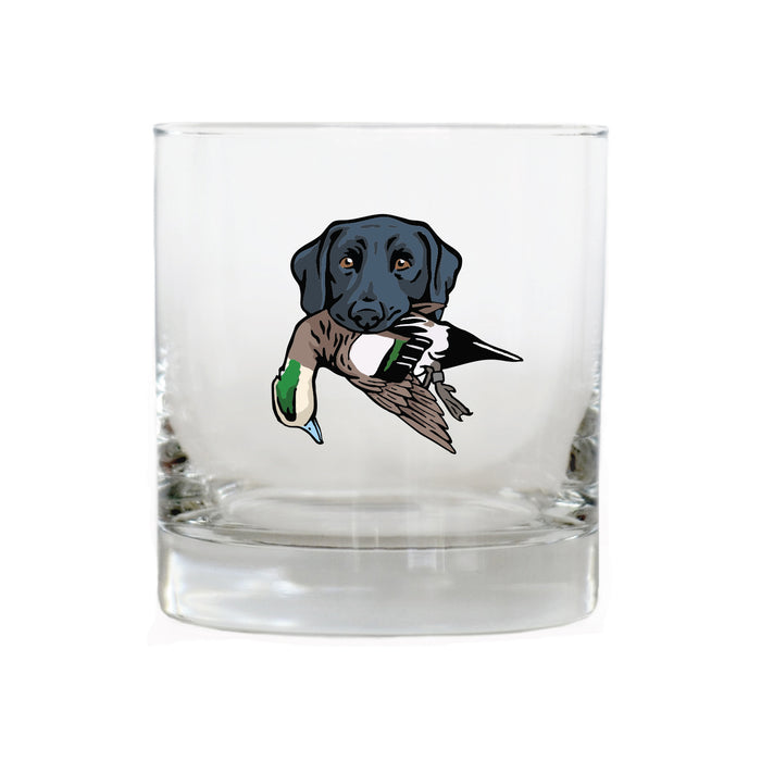 Black Lab with a Wigeon