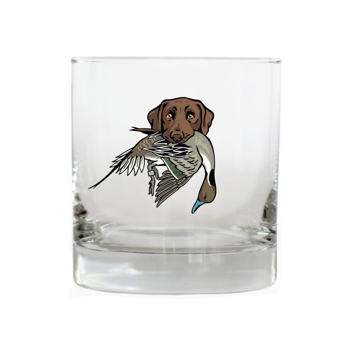 Chocolate Lab with a Pintail