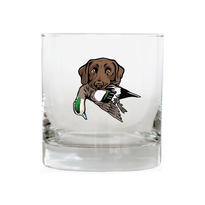 Chocolate Lab with a Wigeon