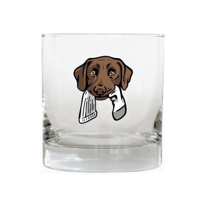 Chocolate Lab with a Sock