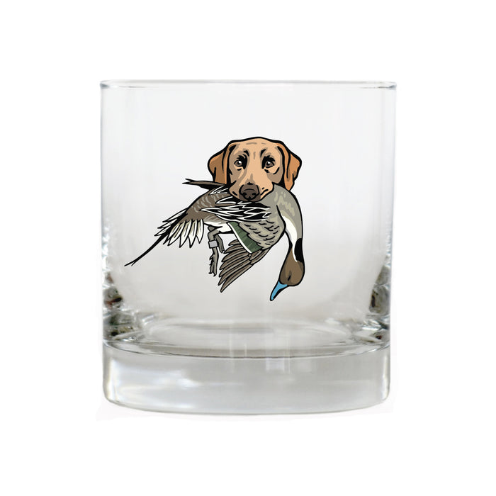 Yellow Lab with a Pintail