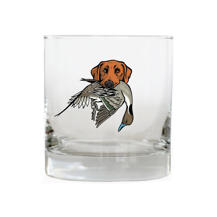 |Red Lab with a Pintail