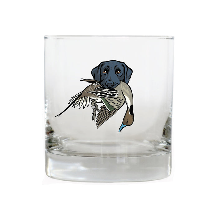 |Black Lab with a Pintail