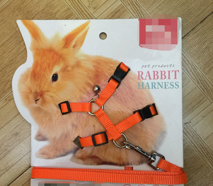 Towing rope for small pets 🇨🇳