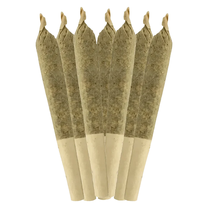 Front view of seven individually wrapped 0.5g Tranquilo Pre Rolled rolls against a clean white backdrop.