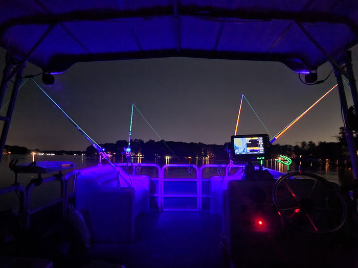 Ultraviolet LED Rock Lights