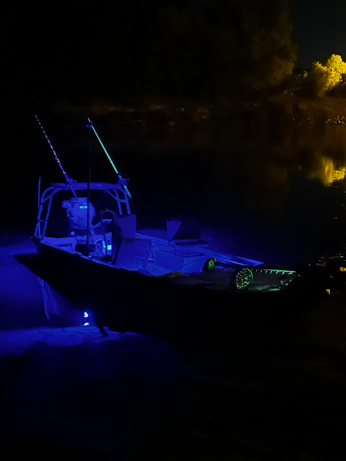Ultraviolet LED Rock Lights
