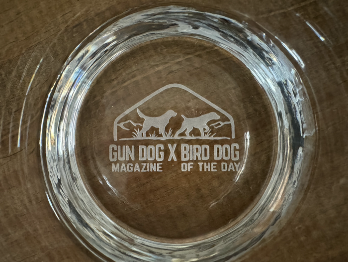 Upland King Beer Can Glass