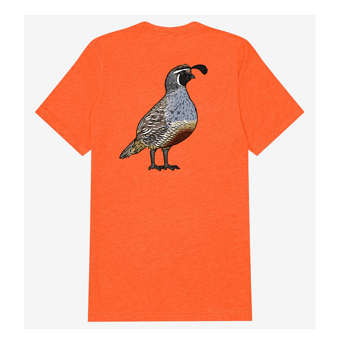 |Blaze Orange