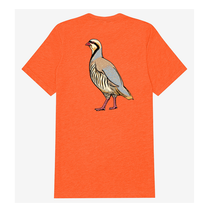 |Blaze Orange